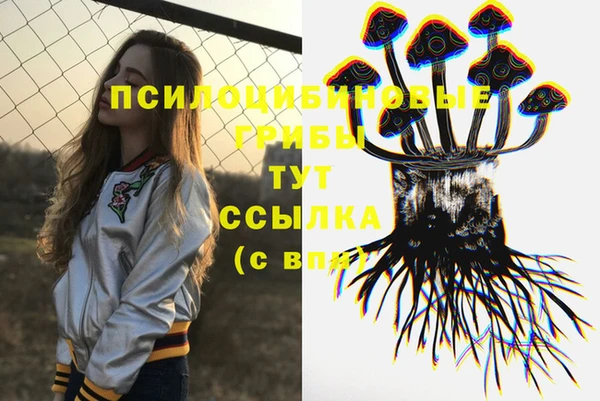 трава Нефтегорск