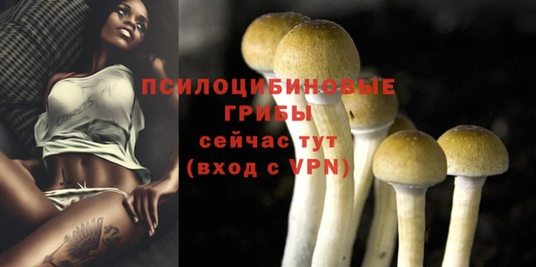 ECSTASY Лиски