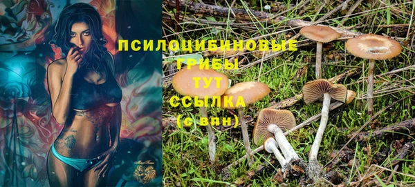 a pvp Нея