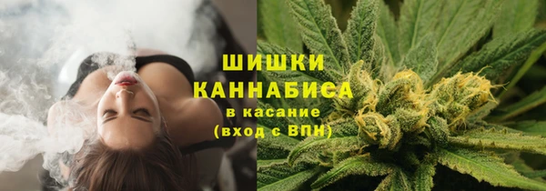 ECSTASY Лиски