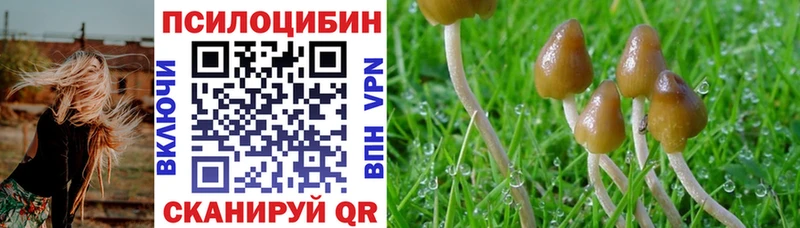 Галлюциногенные грибы MAGIC MUSHROOMS  Северск 