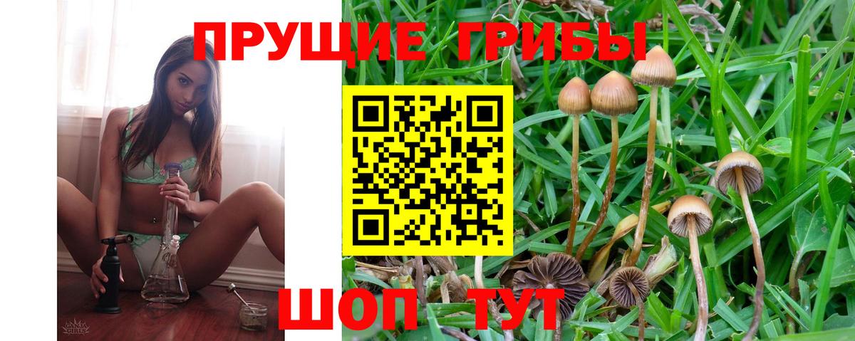 Псилоцибиновые грибы MAGIC MUSHROOMS  купить  сайты  Северск 