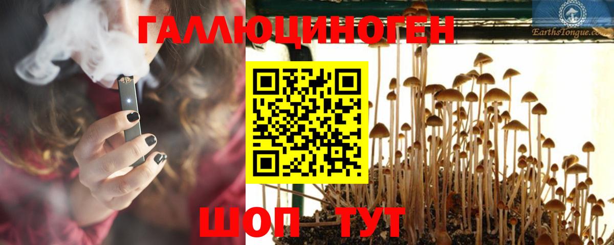 Галлюциногенные грибы Magic Shrooms Северск